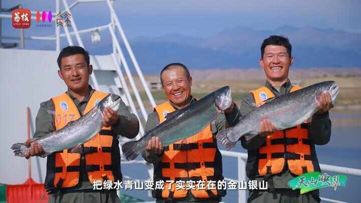 “县”在起笔 青绿绘江山丨天山映翠处，云杉碧水共新生