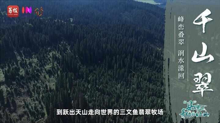 “县”在起笔 青绿绘江山丨天山映翠处，云杉碧水共新生