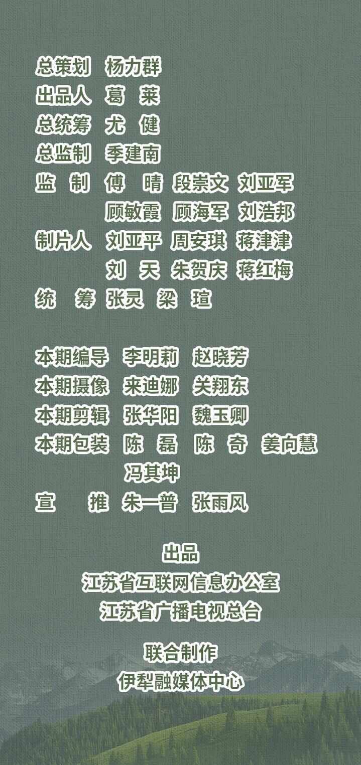 “县”在起笔 青绿绘江山丨天山映翠处，云杉碧水共新生