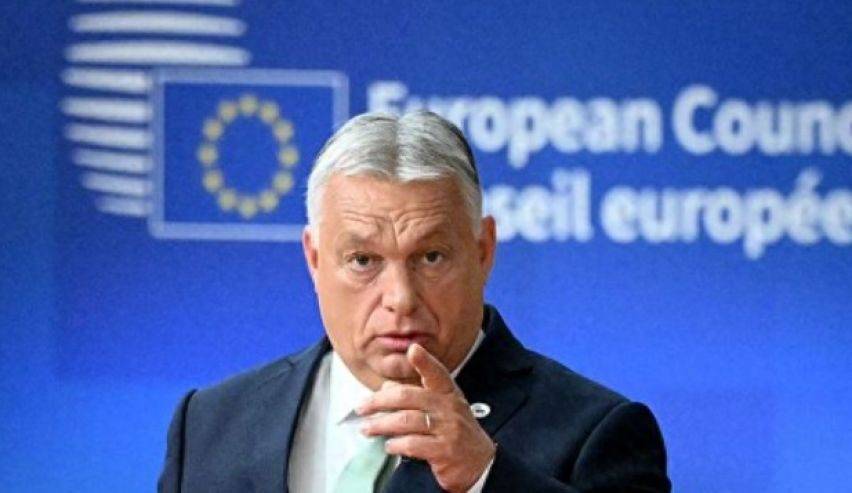 欧盟国家一夜变天！数万人涌上街头，高喊“不愿为乌克兰送死”！特朗普没想到，普京收到意外之喜