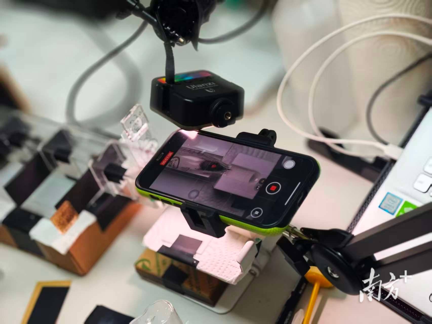 人类如何“读懂”大黄蜂的“感同身受”？