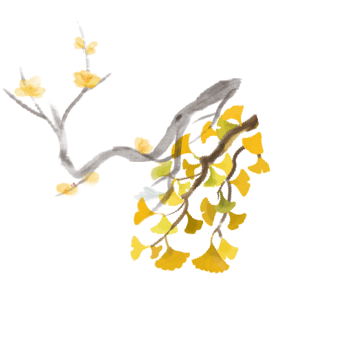 【活动回顾】罗山星悦读“金秋诵章，经典有约”活动圆满落幕